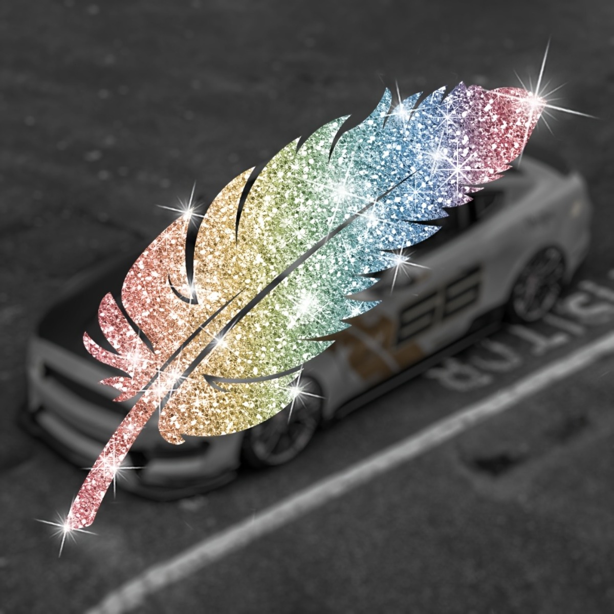 2PCS Glitter Feather Motorcycl - Glitter Vinyl Roll review and price